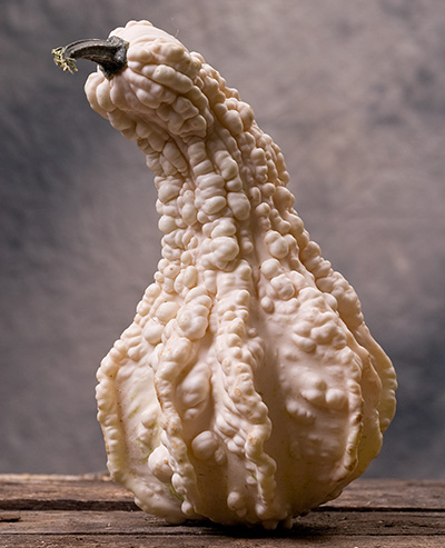 corso di fotografia - zucca da arredamento