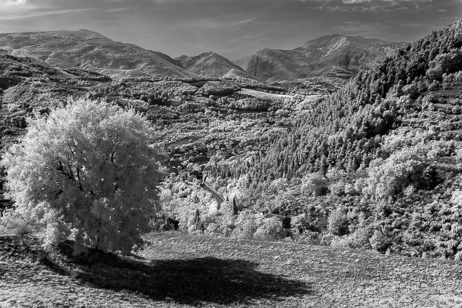 immagine panoramica