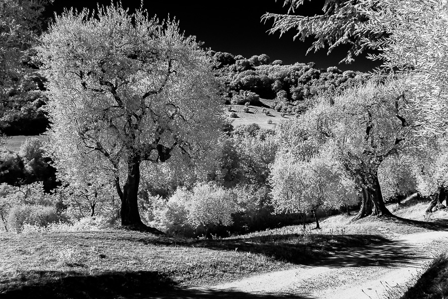 immagine panoramica