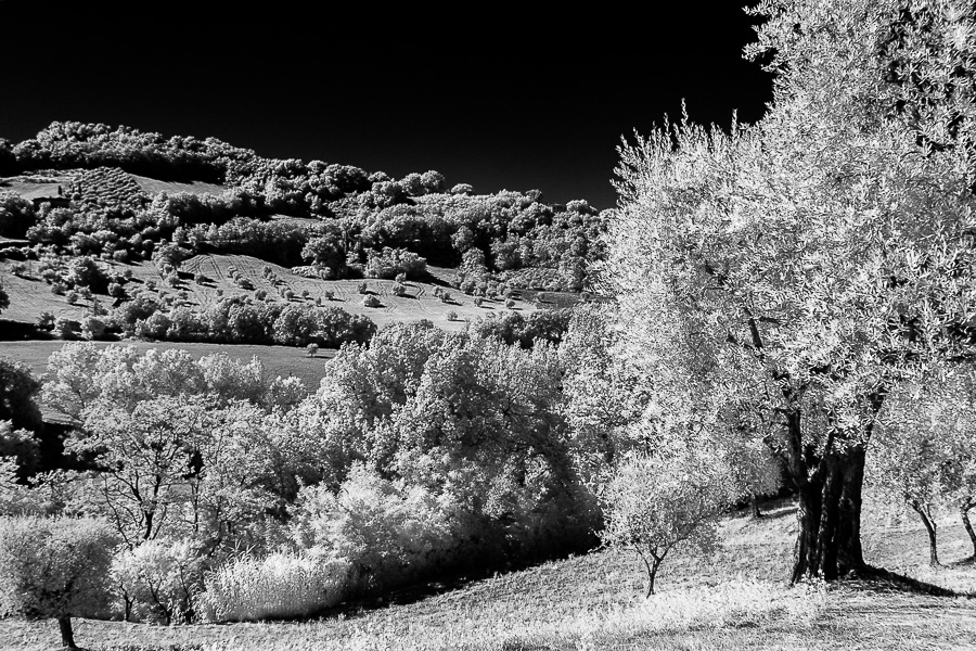 fotografia panoramica