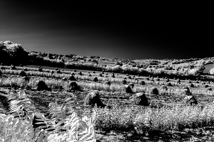 foto virtual tour