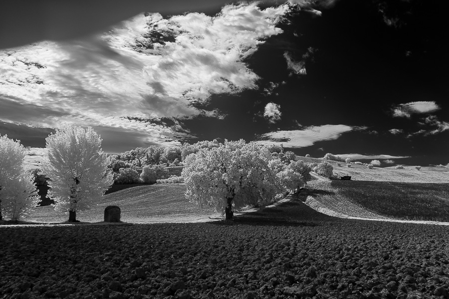 immagine virtualtour 