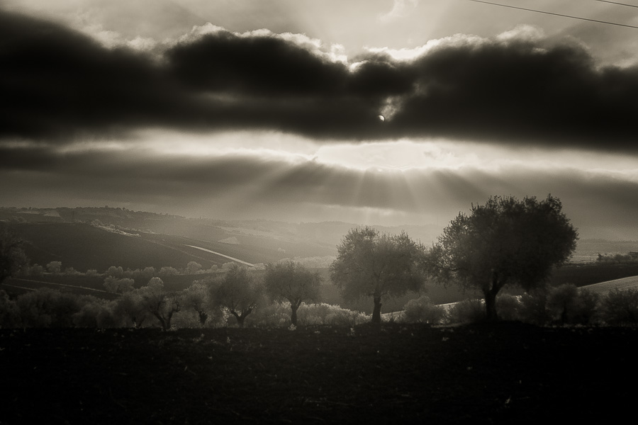 foto panoramica vr